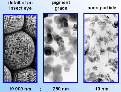 Grössenvergleich der Nanopartikeln mit dem Detail eines Insektenauges(48 KB)